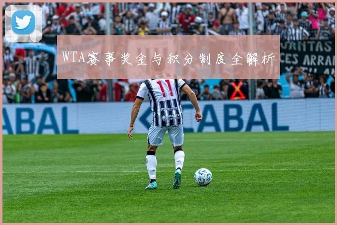 WTA赛事奖金与积分制度全解析