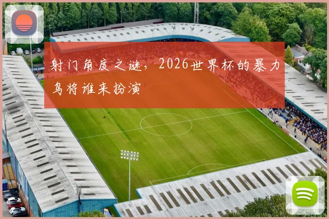射门角度之谜，2026世界杯的暴力鸟将谁来扮演