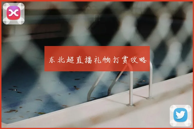 东北超直播礼物打赏攻略